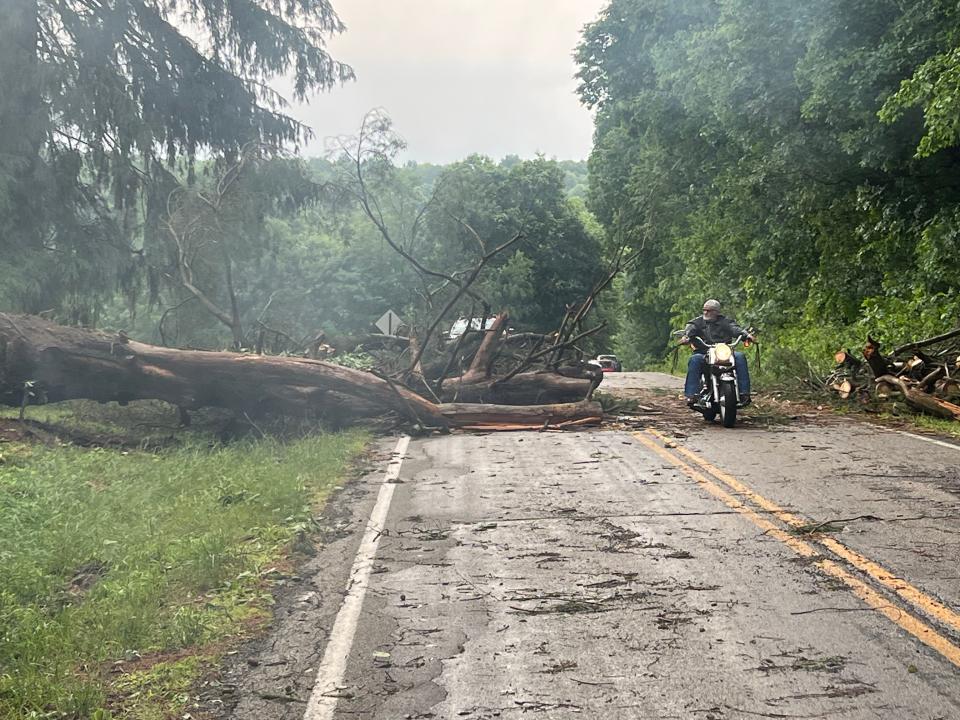 A motorcyclists drives around a downed tree Tuesday morning after overnight storms caused severe damage to the area.