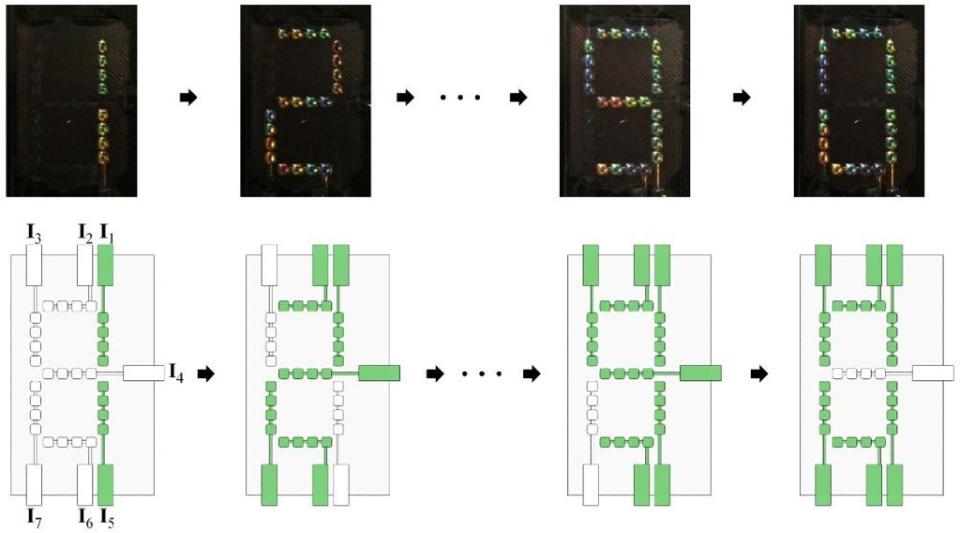 Los cromatóforos artificiales pueden usarse para generar visualizaciones complejas, según los científicos (University of Pennsylvania)