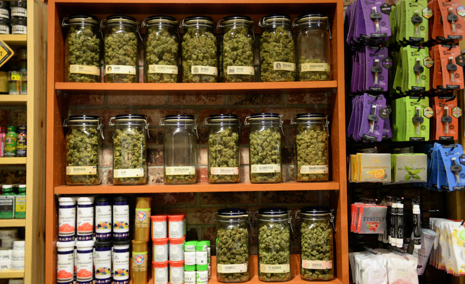 Cannabis on display at Denver Relief. The pot shop purports to be the oldest marijuana dispensary in Denver, having opened its doors in 2009. The shop is open for both Colorado red-card-holding medical marijuana patients and adult-use recreational cannabis sales. (Photo: Vince Chandler/The Denver Post)