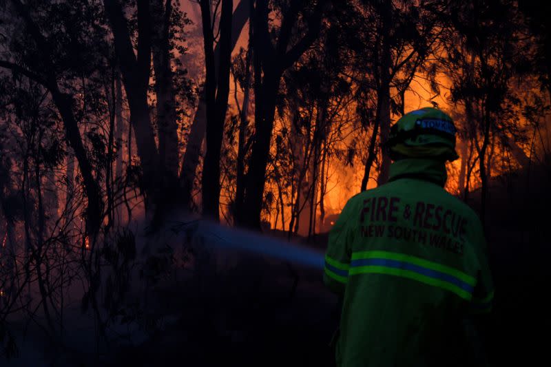 Pictured is a firefighter hosing out a blaze in NSW bushland. 