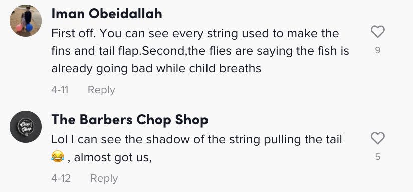 Screenshot from the TikTok comments