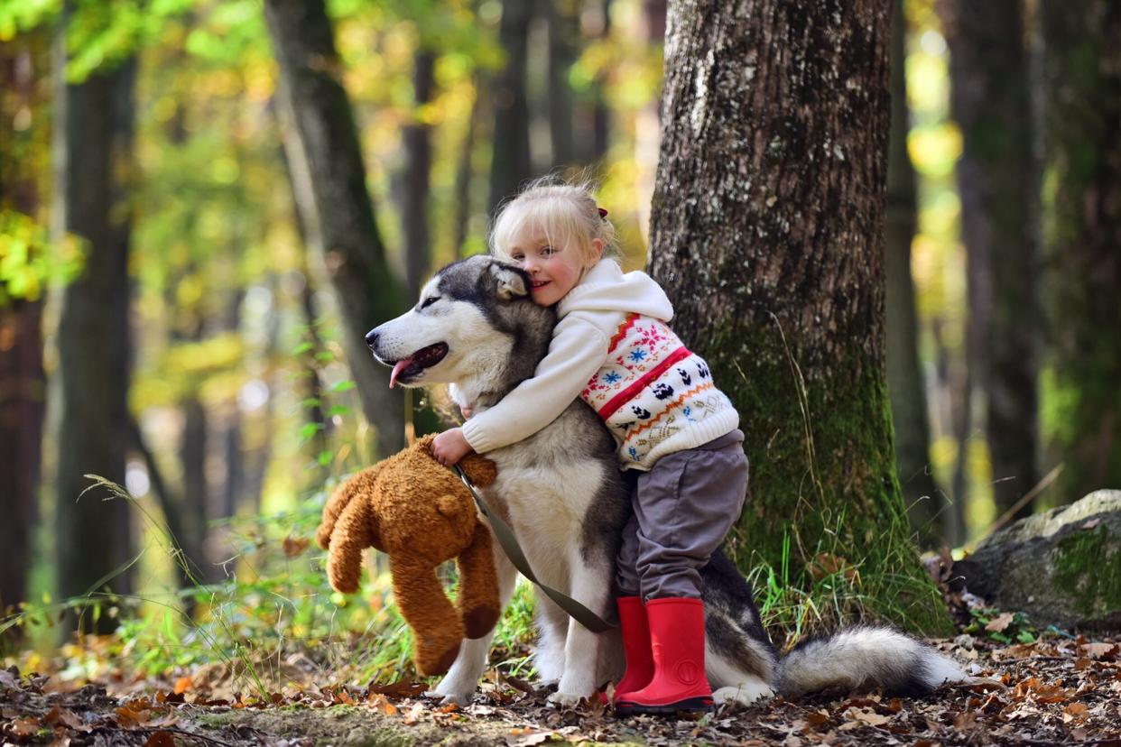 young girl hugging husky; are huskies good with kids?