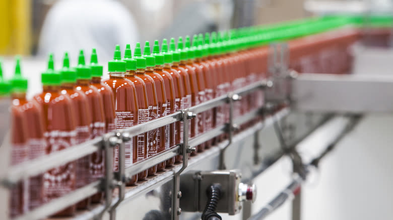 sriracha production line