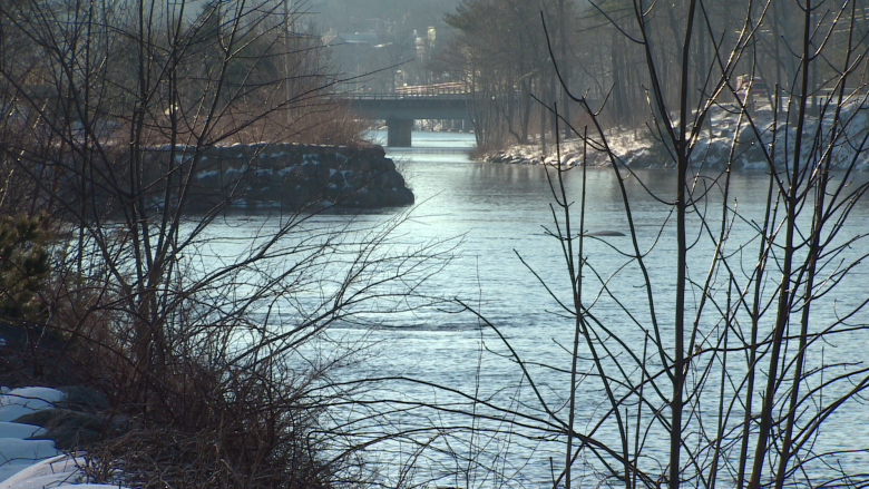 Broken pipe in Bridgewater dumping raw sewage into LaHave River