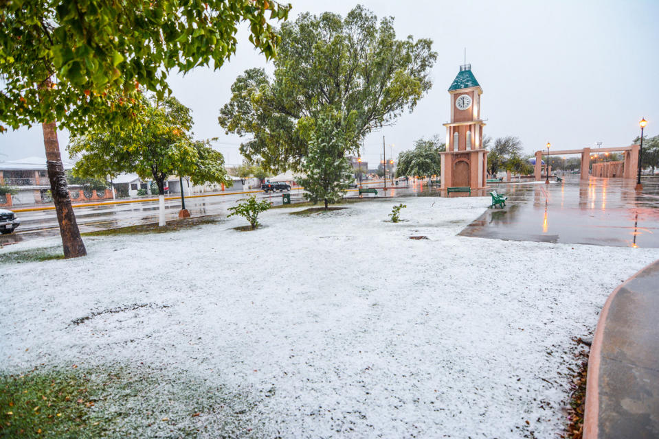 FOTOS: Así han sido las nevadas en el norte de México