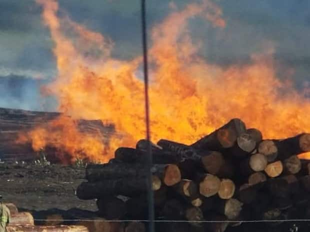 A fire burns in a log yard in Chetwynd, B.C. (Submitted - image credit)