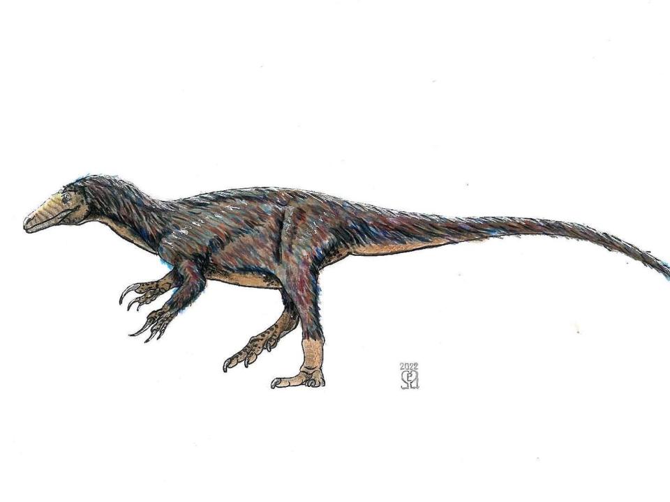 An illustration shows an artist's impression of a megaraptor