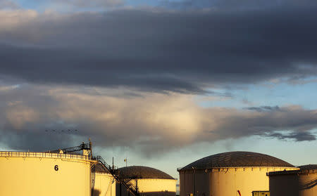 FILE PHOTO -- Crude oil storage tanks at the Kinder Morgan terminal in Sherwood Park, near Edmonton, Alberta, Canada November 14, 2016. REUTERS/File Photo