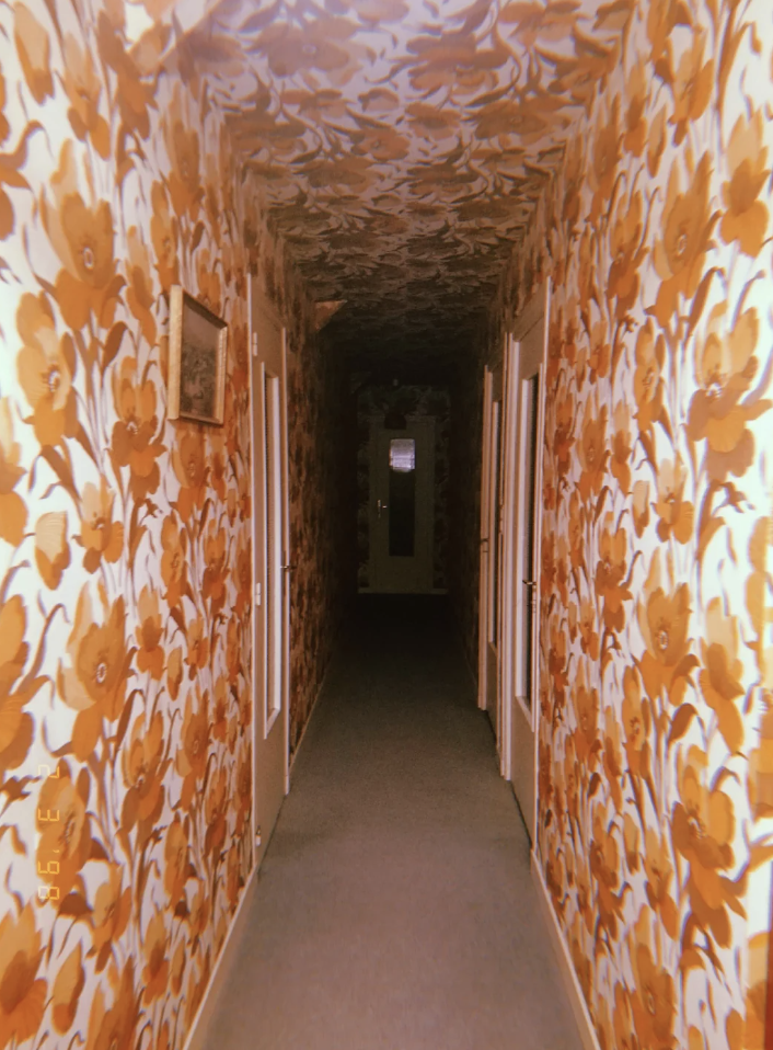 A hallway with vintage floral wallpaper covering the walls and ceiling, featuring several doors and a framed picture on the left side. No people are present