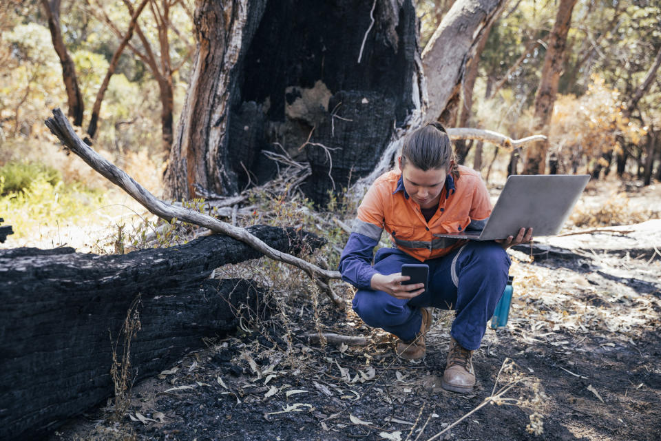 An environmental consultant with a laptop in the field