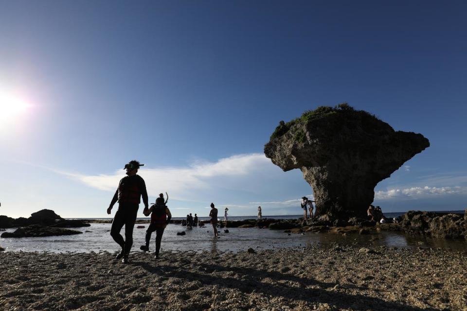 剛上岸的潛水客。