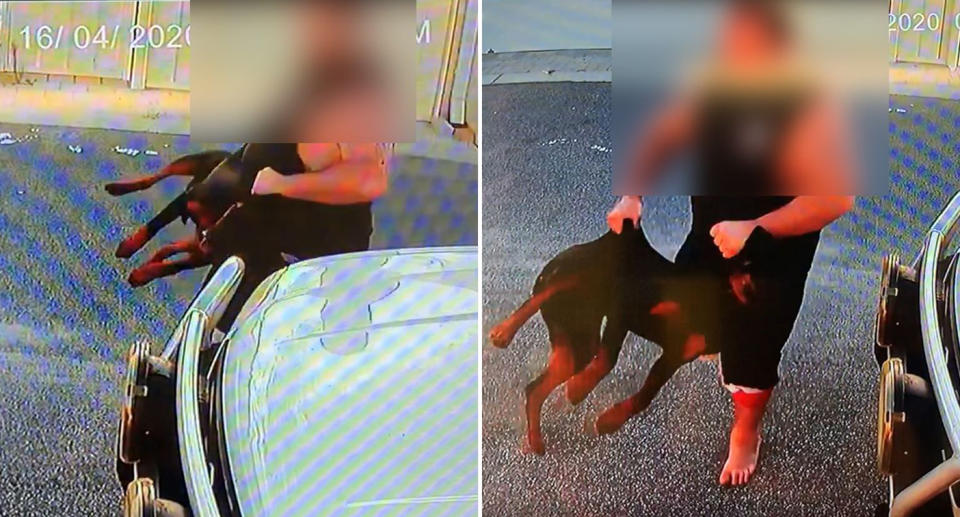 distressing footage of a man abusing a Rottweiler puppy 