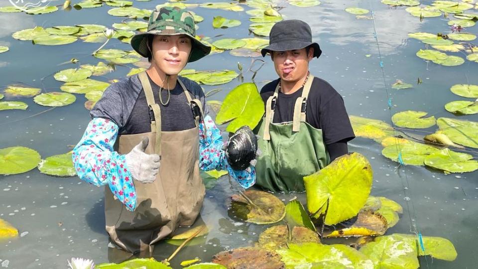 身穿青蛙裝，下田採蓮子讓2人哀聲連連。（圖／八大提供）