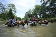 Migrants cross the Acandi River on horse carts, in Acandi, Colombia, Tuesday, Sept. 14, 2021. The migrants, following a well-beaten, multi-nation journey towards the U.S., will continue their journey through the jungle known as the Darien Gap. (AP Photo/Fernando Vergara)