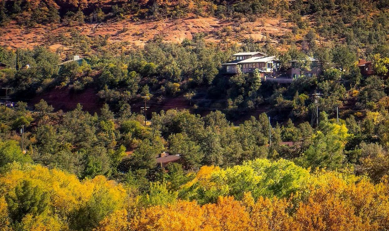 Homes overlook a forest in the wildland-urban interface in Arizona. Marius von Essen