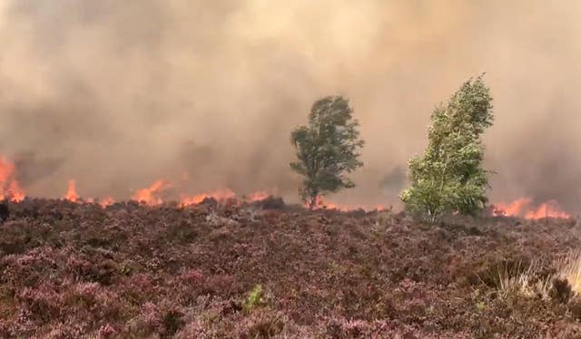 Hankley Common fire