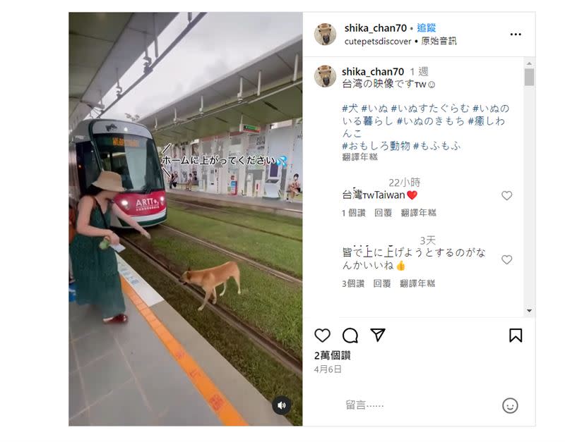 日本網友分享浪犬闖台灣輕軌影片。（圖／翻攝自Instagram@shika_chan70）