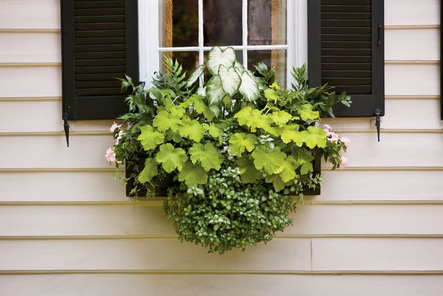 Photo: Ralph Anderson, Window Box Design: Tracee Lund