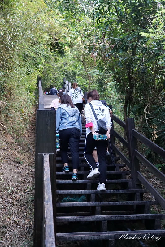 大坑9-1號登山步道