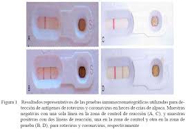 Investigaciones en animales probaron la manera de detectar el coronavirus a través de muestras de heces. (Imagen: Universidad Nacional de San Antonio Abad del Cusco (UNSAAC), Perú)