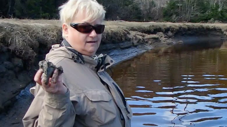 How P.E.I.'s salt marshes could join the battle against climate change