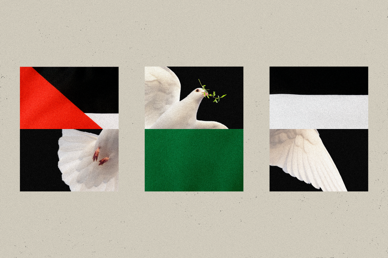 Dove as symbol of peace photo illustration