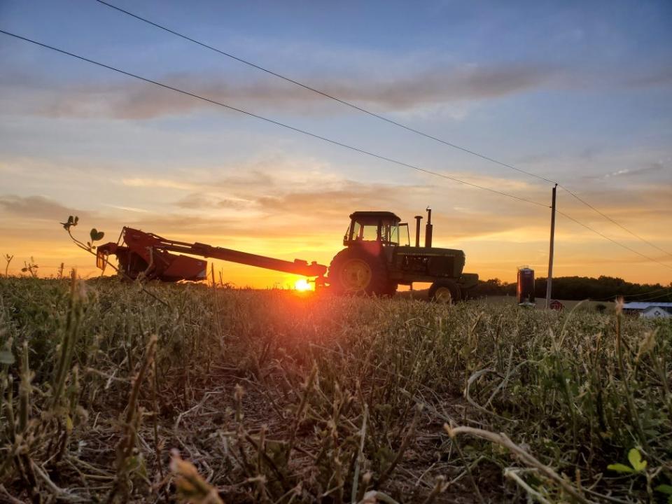 The Reisinger family farm in rural Sauk County has survived many trials over the years, from sick animals to a recent fire, in addition to finding a path toward raising heifers, beef, and cash crops after selling their dairy herd.