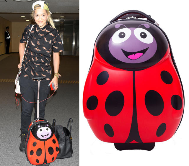 Best Celebrity Luggage Moments