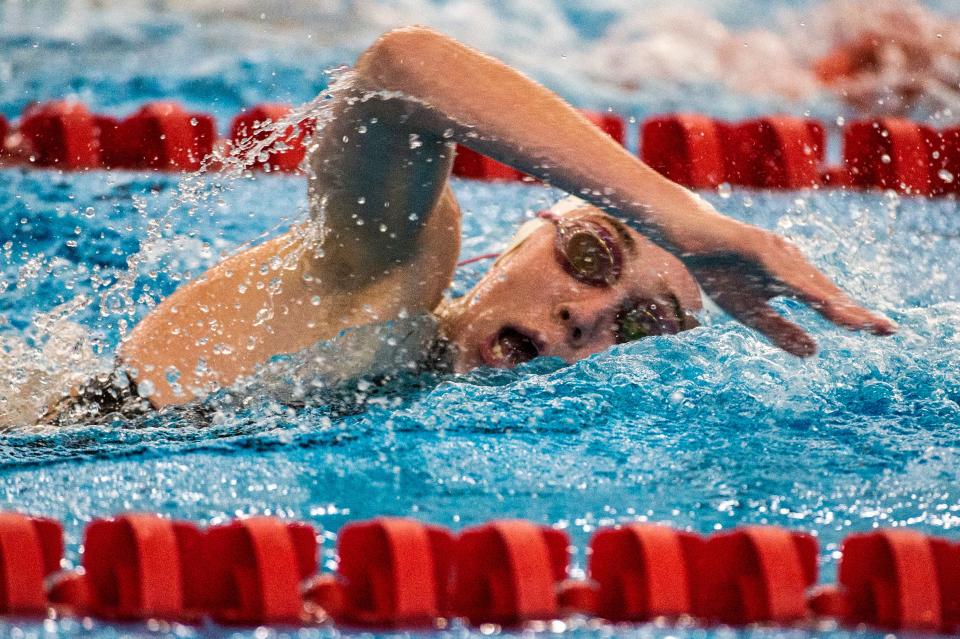 Villa Maria's Haley Palmer swims the 100-yard freestyle at the District 10 Championships at the S.P.IR.E Institute pool on March 5 in Geneva, Ohio.