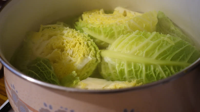 Cabbage in a cooking pot