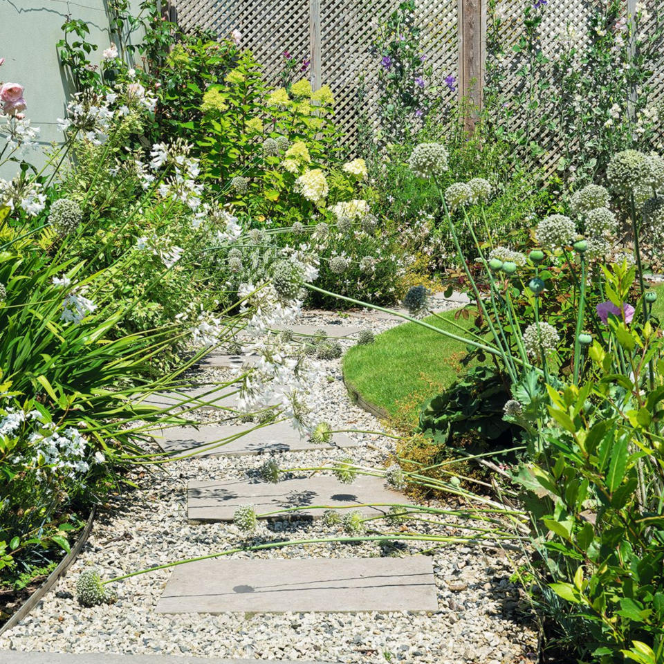 A garden path of pavers and gravel, with beds planted with alliums and flowering plants, and flowering plants on a trellis fence