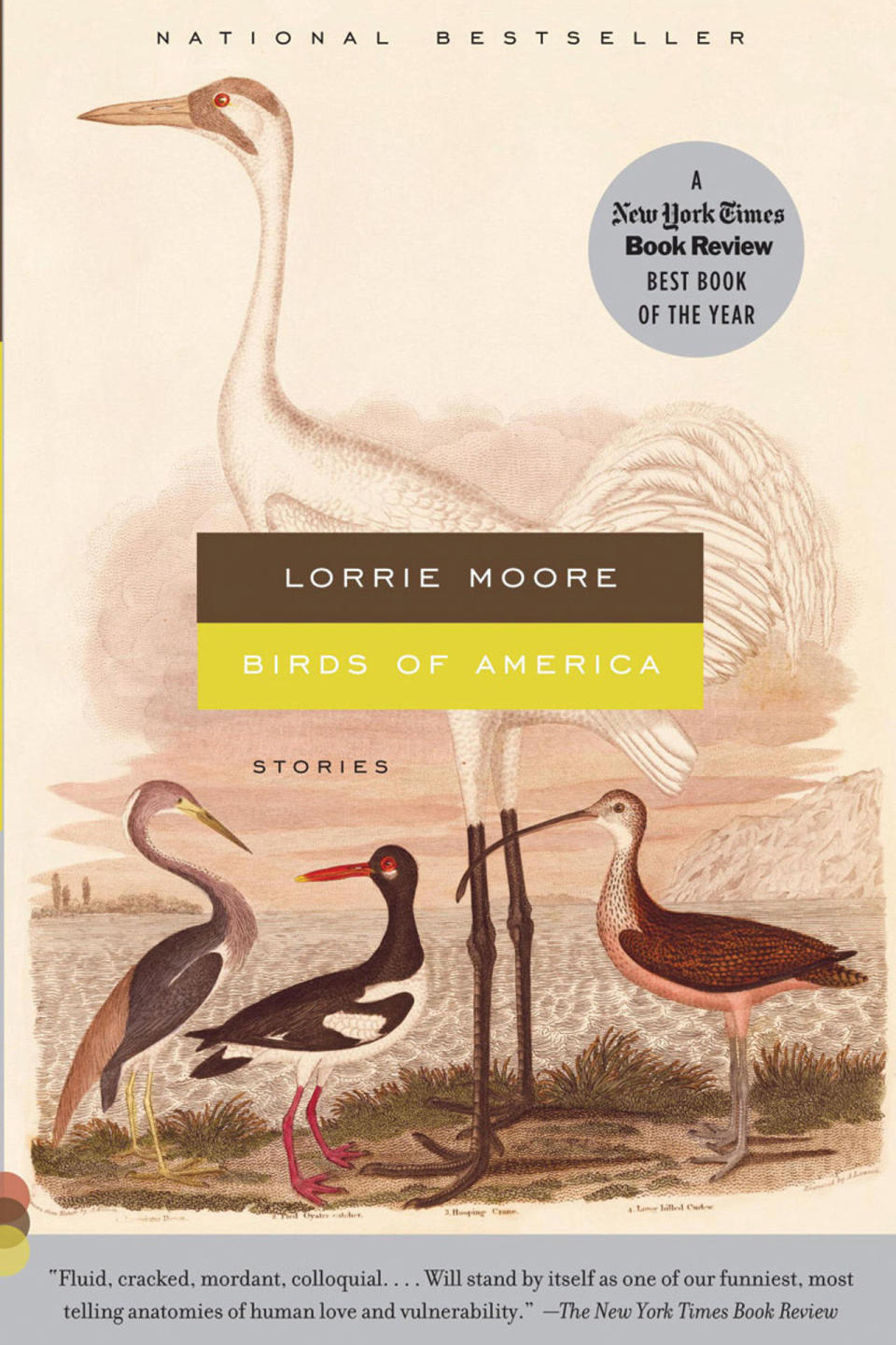 Birds of America, by Lorrie Moore