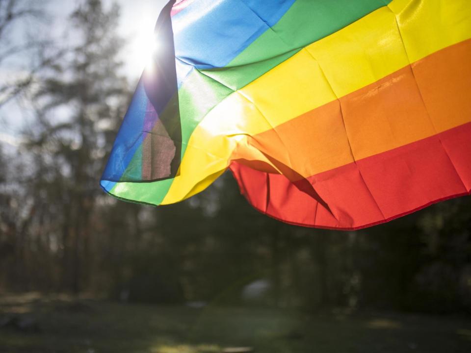 Same sex marriage was legalised in Ireland in 2015: iStock