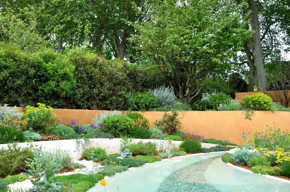 <p>Apparently, garden designers face getting the Chelsea flu every year. Garden designer Nina Baxter once told <a href="http://www.theguardian.com/lifeandstyle/2016/may/21/behind-the-scenes-chelsea-flower-show" rel="nofollow noopener" target="_blank" data-ylk="slk:The Guardian;elm:context_link;itc:0;sec:content-canvas" class="link ">The Guardian</a>: 'It is difficult to concentrate with lorries continually going past, and when people are stone-cutting, you get covered in dust. But the worst thing is when the plane trees on Main Avenue dump their pollen. It's horrible: you get it in the back of your throat and in your eyes – they call it Chelsea flu. Everyone hopes for a big strong wind overnight so it takes it off the trees all in one go.'</p><p>But there was a benefit with RHS Chelsea taking place in September back in 2o21. Monty Don said in <a href="https://www.dailymail.co.uk/home/gardening/article-9989887/Monty-Don-says-Chelsea-autumn-think-winner.html" rel="nofollow noopener" target="_blank" data-ylk="slk:Daily Mail’s Weekend magazine;elm:context_link;itc:0;sec:content-canvas" class="link ">Daily Mail’s Weekend magazine</a>: 'Incidentally, one of the unexpected benefits of the show moving to September is that there will be an awful lot less sneezing. Many people react to the pollen from the London planes and find themselves sneezing, wheezing and coughing more than normal.’</p>