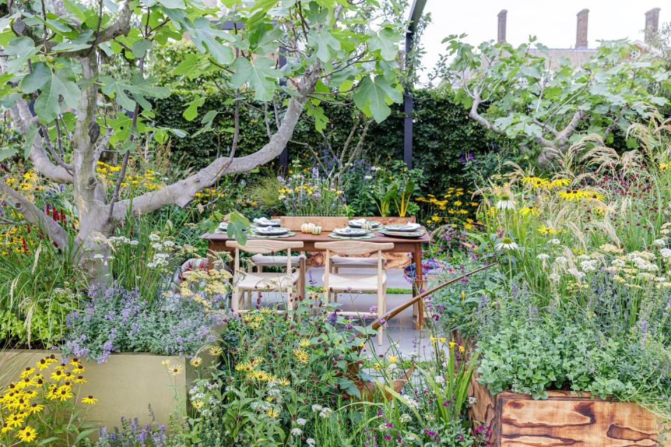 The Parsley Box Garden