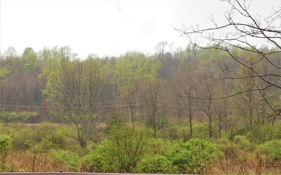 This photo taken from Munsonhurst Road in Franklin shows the hill on which an apartment complex known as Milly's Court is proposed. Although approved by a state court, people still oppose the proposed 250-unit development for a variety of reasons.