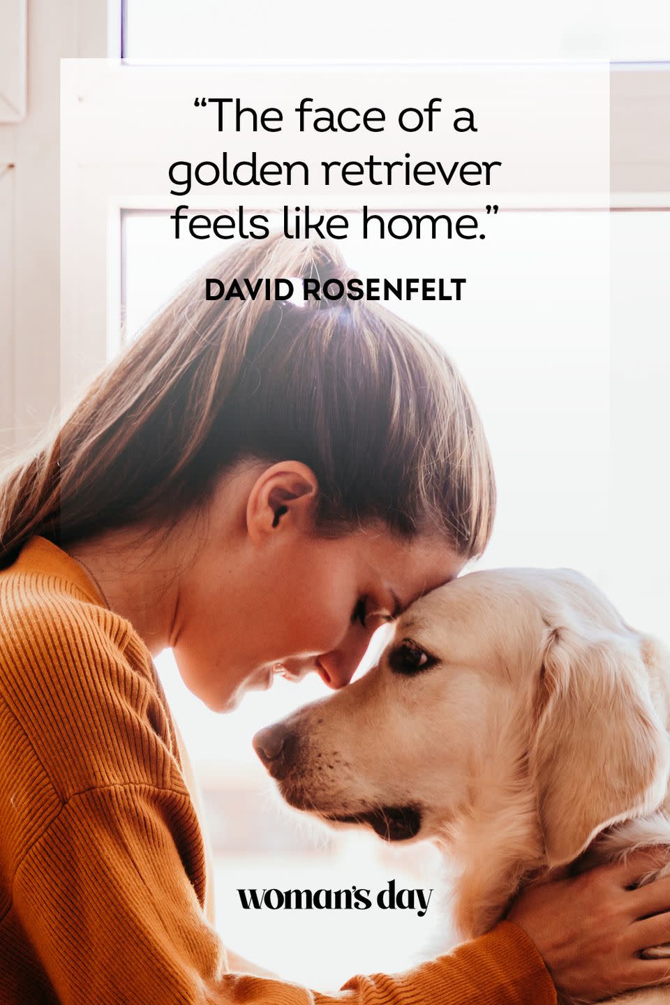 <p>"The face of a golden retriever feels like home."</p>