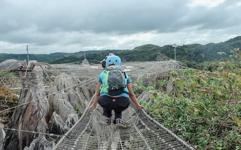 The treetop walk at Masungi Georeserve - Credit: Frances Ellen (Flickr)