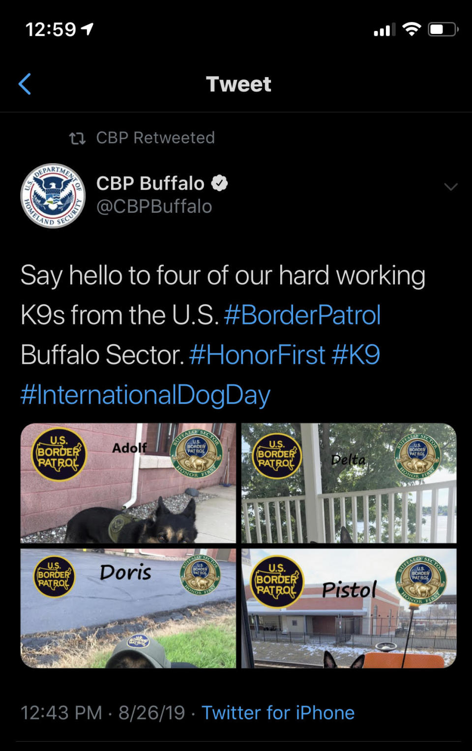 This screenshot taken by Kayla Nelson shows a now-deleted tweet by Customs and Border Protection praising Adolf, one of CBP's top drug dogs in the Buffalo region. | Courtesy Kayla Nelson