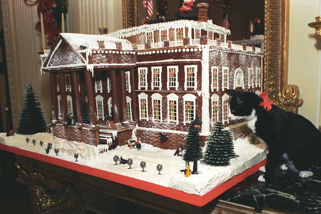 <p>Smith Collection/Gado/Getty</p> Bill Clinton's pet cat, Socks, stands beside the 1993 gingerbread White House.