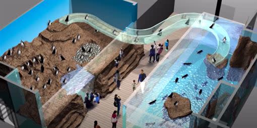 桃園Xpark水族館將於8/7開幕，獨特的展區讓旅客可以跟企鵝共遊。（圖／翻攝自Xpark 官方Youtube）