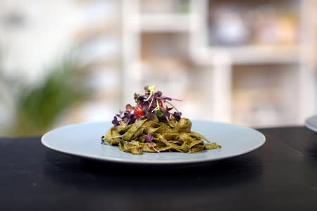 Tagliatelle alla insetto, a pasta dish made with homemade Black soldier fly larvae flour, wheat and basil pesto prepared by Chef Mario Barnard at the Insect Experience Restaurant in Cape Town