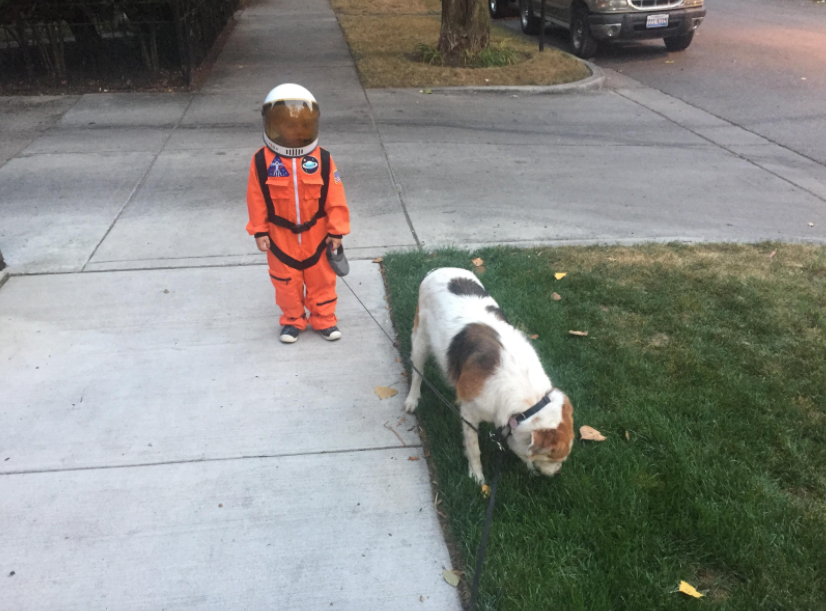 <p>Un usuario de la red social <em>Imgur</em> compartió esta foto de un niño disfrazado de astronauta, convocando a los conocedores en Photoshop a inicia una batalla de montajes. Foto: Imgur.com/kchitownp </p>