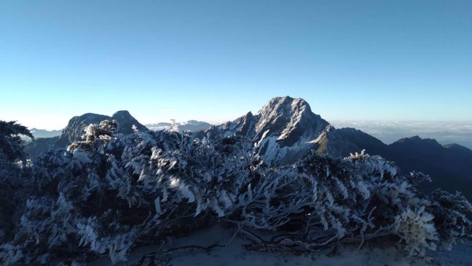 今玉山下雪，樹叢結冰。(中央氣象署提供)