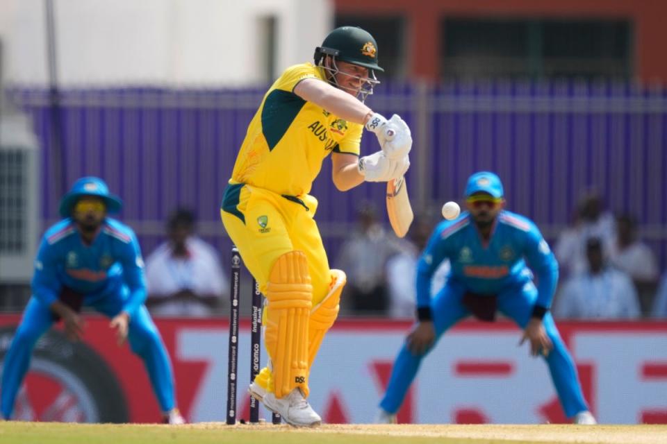 David Warner in action during Australia’s innings (AP)