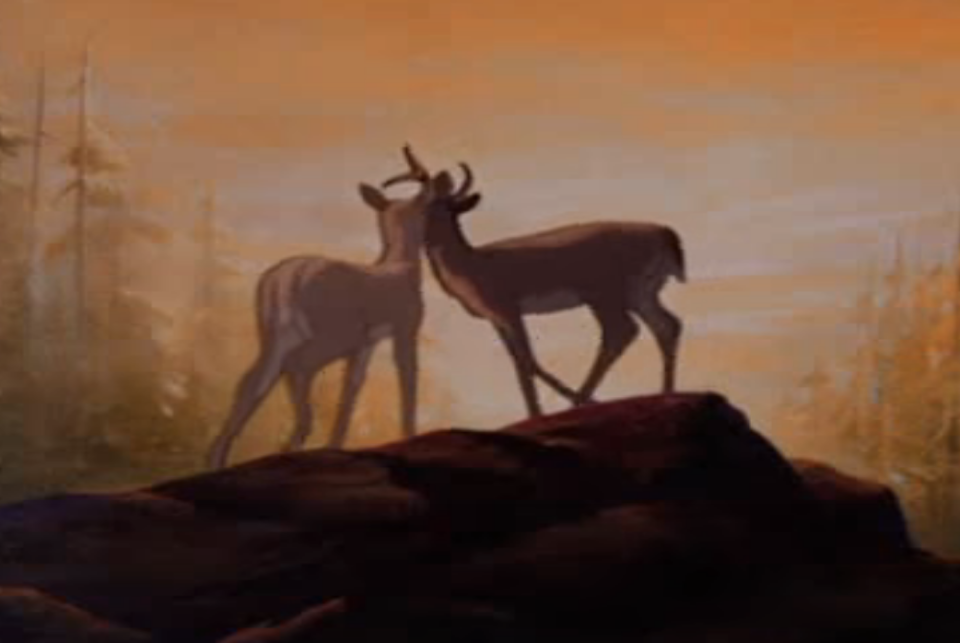 two deers on a mountain top