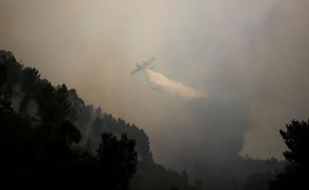 A firefighting plane dumps water on a forest fire as seen from the village of Capelo, near Gois, Portugal June 21, 2017. REUTERS/Rafael Marchante