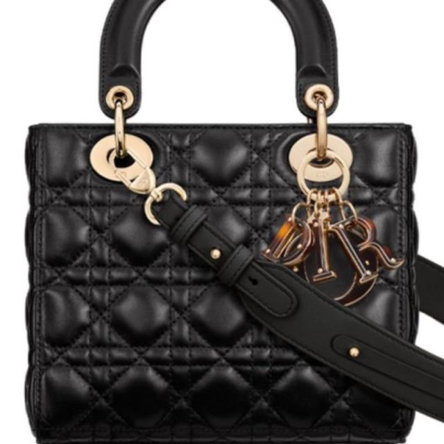 Dior Introduces New Handbag: the Lady 95.22