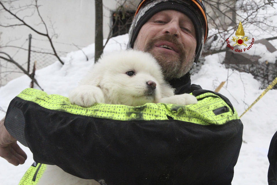 A firefighter holds a puppy rescued from the avalanche-hit Hotel Rigopiano