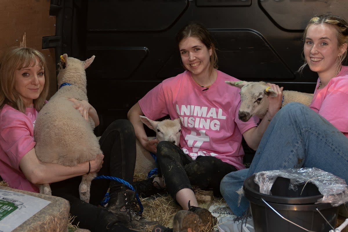 Three Animal Rising protesters pictured with the sheep they removed from a farm on the royal Sandringham Estate  (@AnimalRising/Twitter)